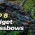 4 Best Crossbows For The Money 2024 – Revealed and Review